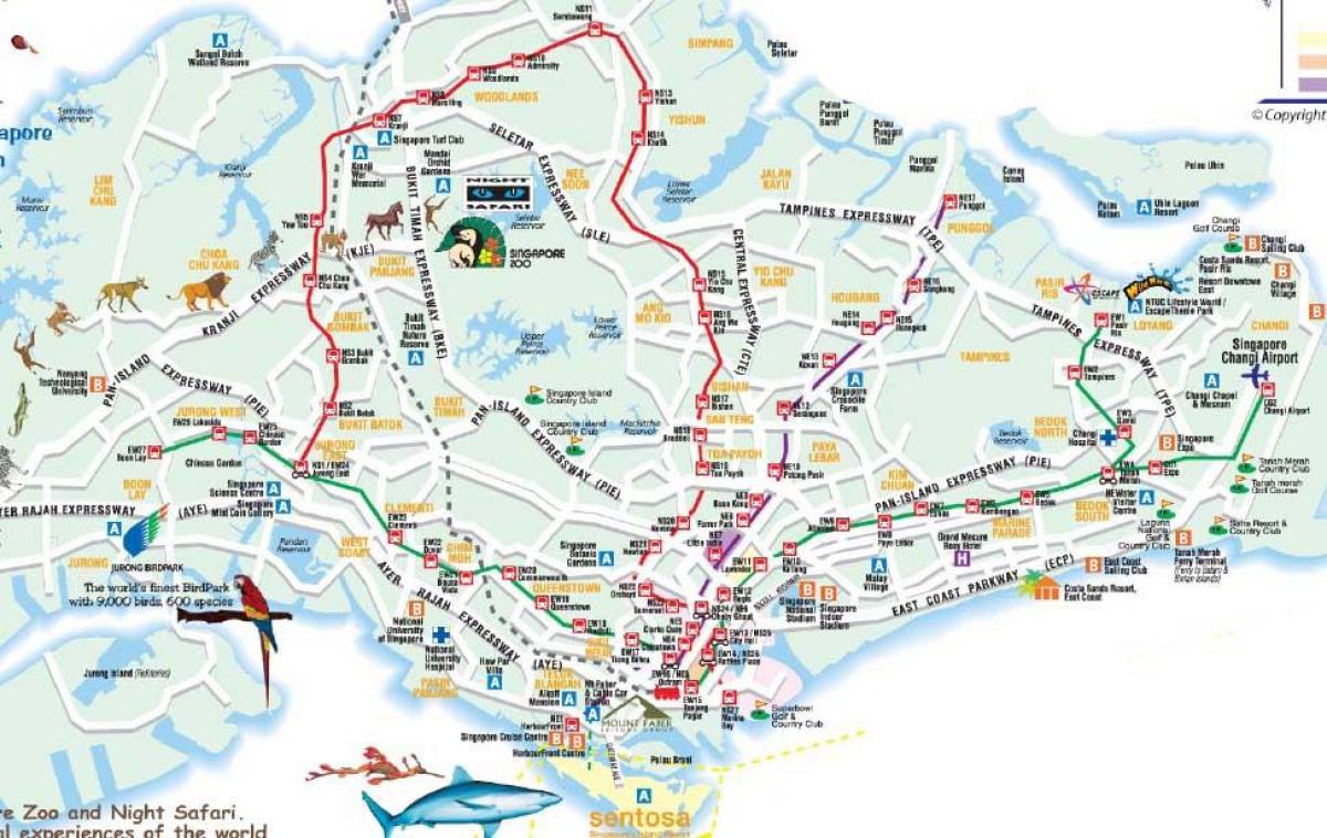 road map of Singapore